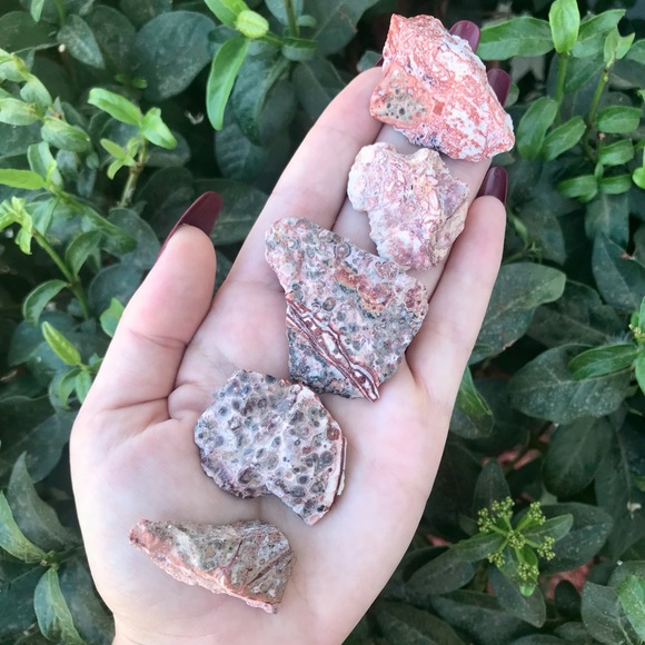 Leopard Skin Jasper 🐆 - Picture 2 of 3